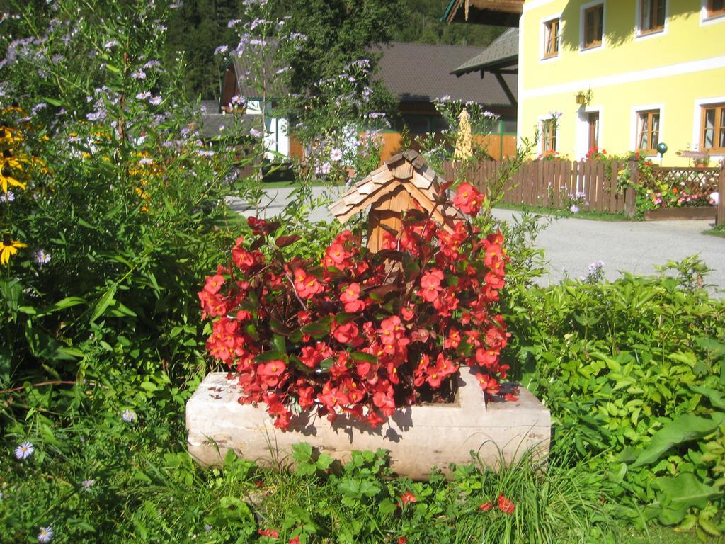 הינטרסי Biobauernhof Hauserbauer מראה חיצוני תמונה